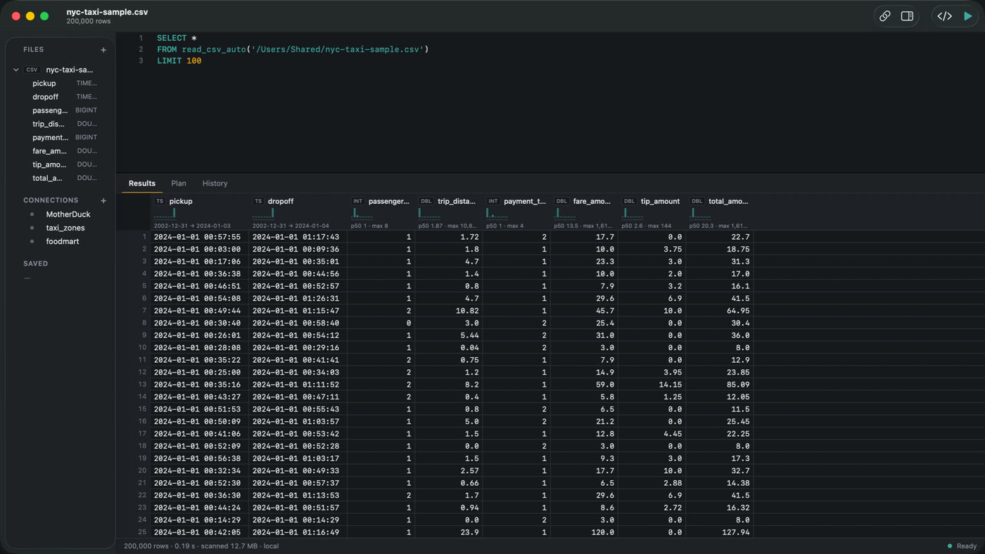 A SQL query reading a CSV with read_csv_auto in Datapuddle, with the result rows in the grid below it.